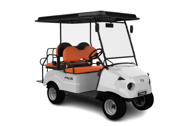 Palis Eco Vehicles Pvt Ltd 4-seater Passenger cart