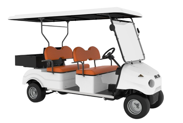 PALISELECTRIC MINI CARGO BUGGY