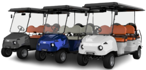 Palis 6 seater passenger cart