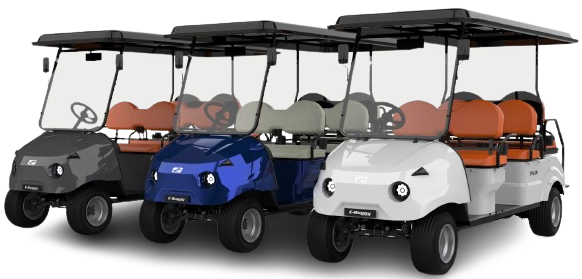 Palis 6 seater passenger cart